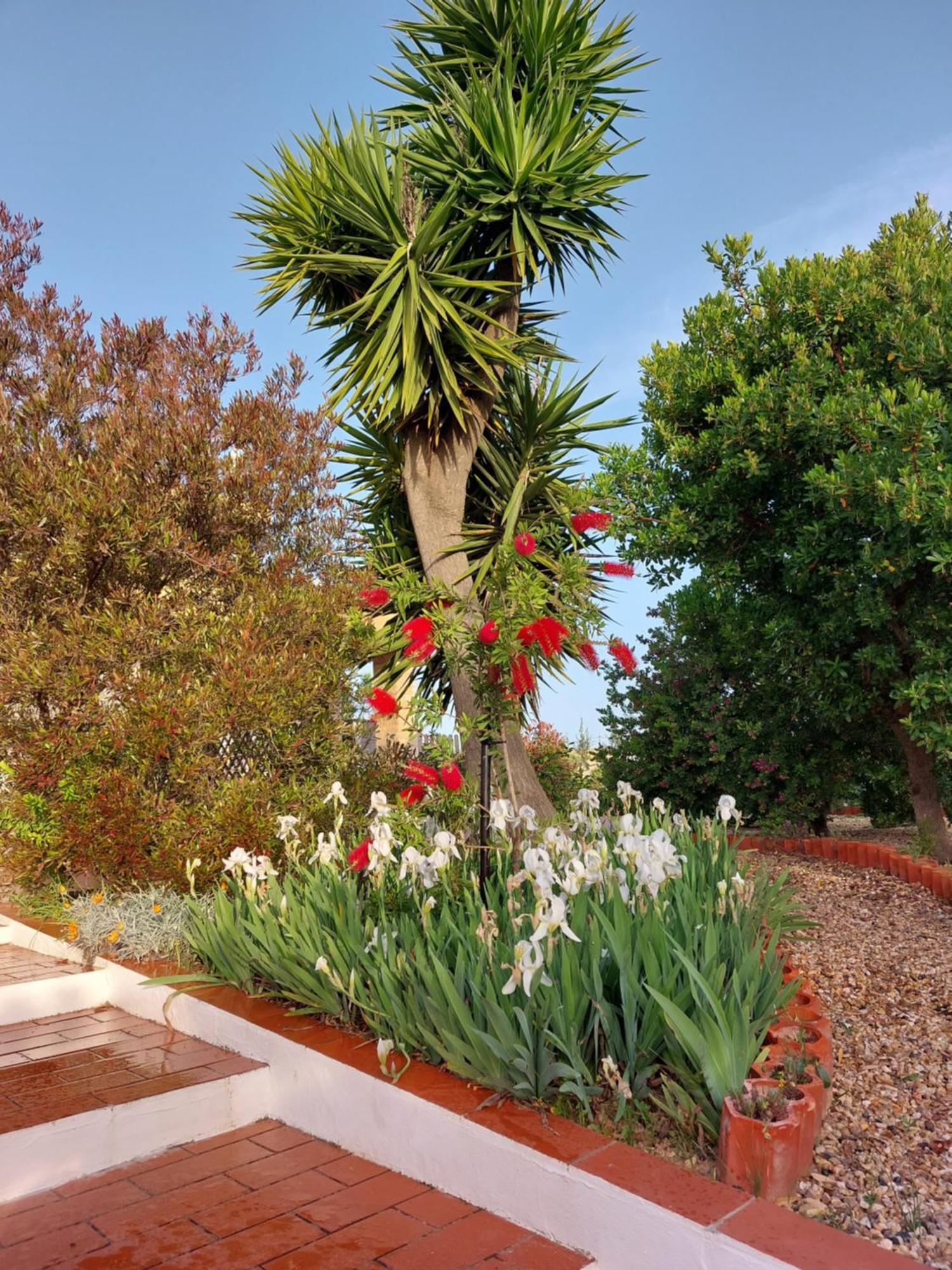 Tavira Vacations Apartments Εξωτερικό φωτογραφία